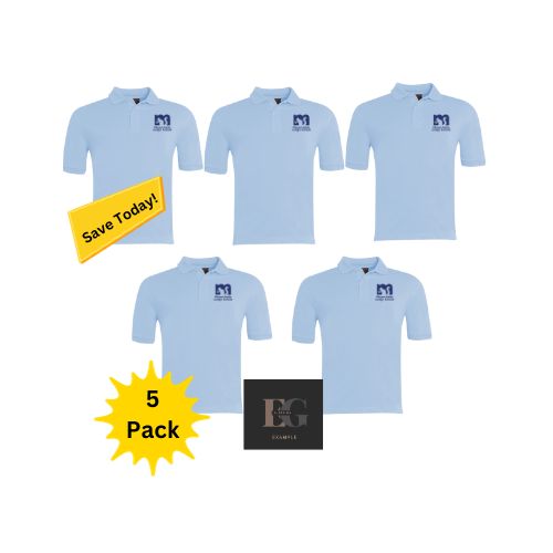 Pack of 5 polo's, Mountfields Lodge School