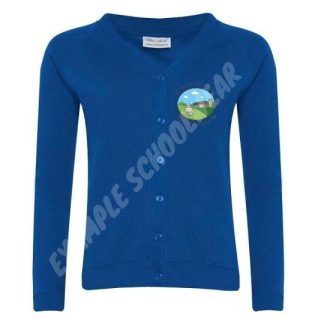 St Paul's Cardigan, St Paul's CE Primary